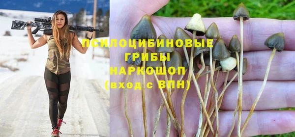 MDMA Богданович